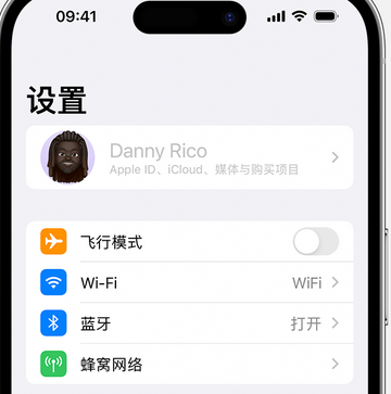 港口镇appleID维修服务iPhone设置中Apple ID显示为灰色无法使用 