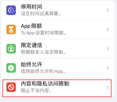 港口镇appleID维修服务iPhone设置中Apple ID显示为灰色无法使用