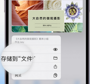港口镇apple维修中心分享iPhone文件应用中存储和找到下载文件