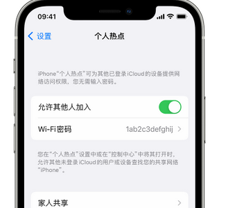 港口镇apple服务站点分享iPhone上个人热点丢失了怎么办 