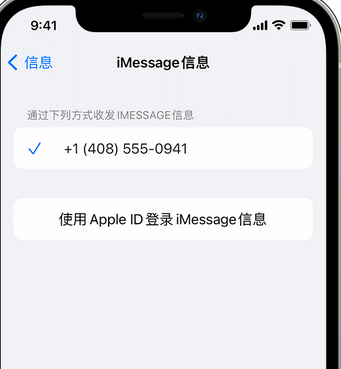 港口镇apple维修iPhone上无法正常发送iMessage信息 