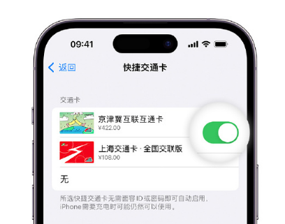 港口镇apple维修点分享iPhone上更换Apple Pay快捷交通卡手绘卡面 