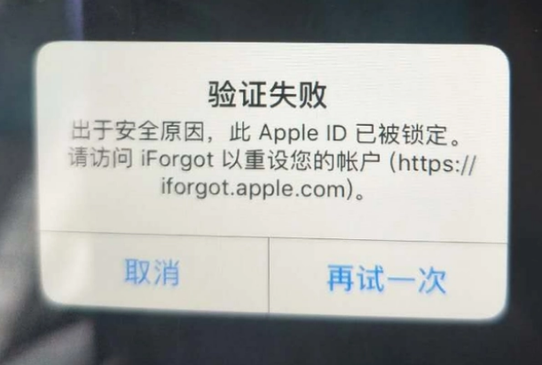 港口镇iPhone维修分享iPhone上正常登录或使用AppleID怎么办 