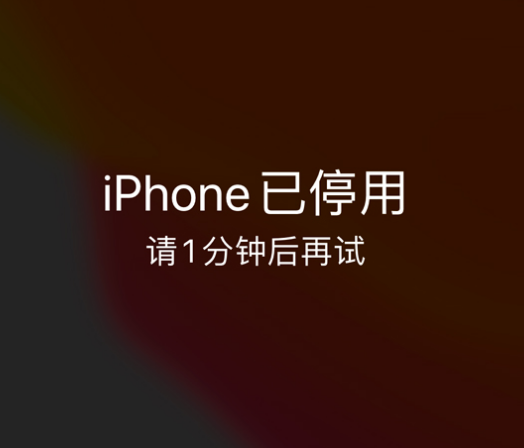 港口镇苹果手机维修分享:iPhone 显示“不可用”或“已停用”怎么办？还能保留数据吗？ 