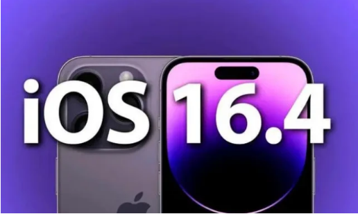 港口镇苹果14维修分享：iPhone14可以升级iOS16.4beta2吗？ 