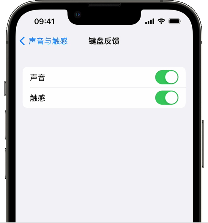 港口镇苹果14维修店分享如何在 iPhone 14 机型中使用触感键盘 