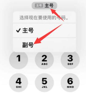 港口镇苹果14维修店分享iPhone 14 Pro Max使用副卡打电话的方法 