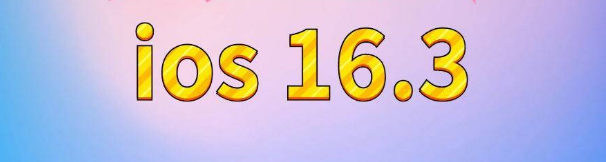 港口镇苹果服务网点分享苹果iOS16.3升级反馈汇总 