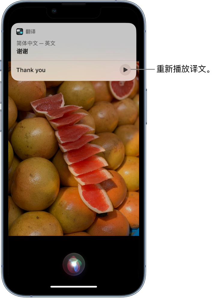 港口镇苹果14维修分享 iPhone 14 机型中使用 Siri：了解 Siri 能帮你做什么 