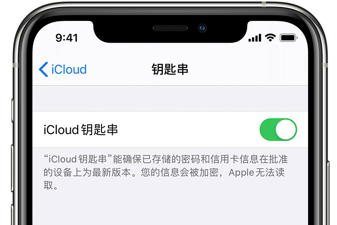 港口镇苹果手机维修分享在 iPhone 上开启 iCloud 钥匙串之后会储存哪些信息 