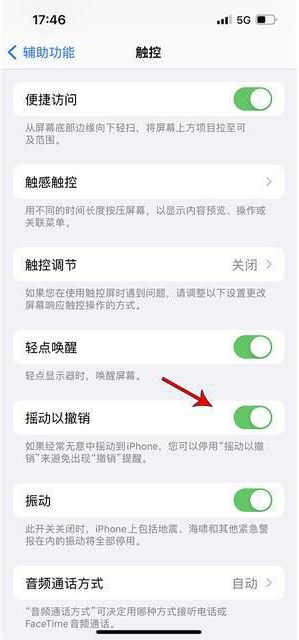 港口镇苹果手机维修分享iPhone手机如何设置摇一摇删除文字 